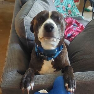 Meet your Posher, Ann